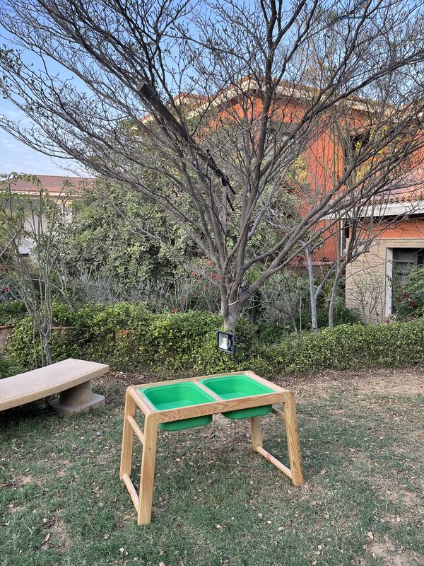 All Purpose Table