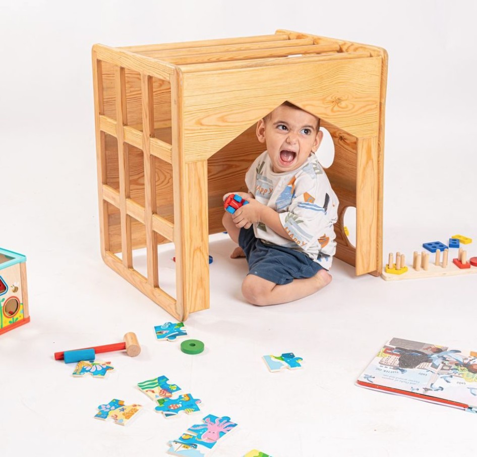 Pikler Cube